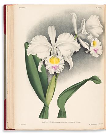 (BOTANY -- ORCHIDS.) Lindenia: Iconographie des Orchidees (2nd Series, 15th Volume).
